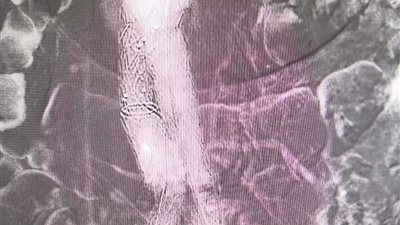 شركة عالمية تتبنى خفض الانبعاثات الكربونية لصناعة مواد البناء في مصر