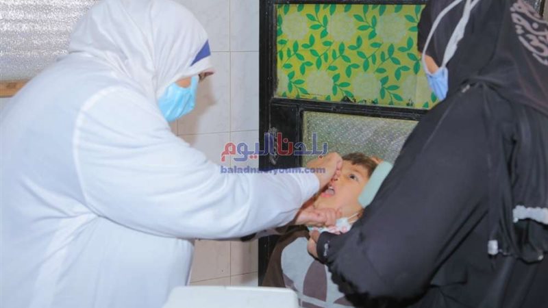بلدنا اليوم