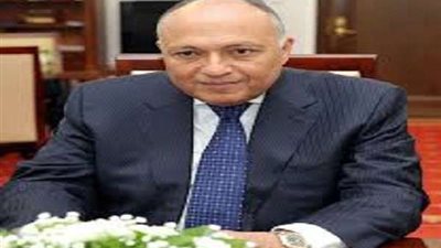 شكرى: الشوائب في العلاقات مع قطر زالت.. ووصلنا لنتائج إيجابية