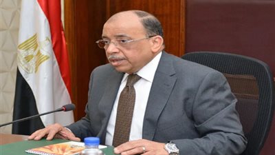 وزير التنمية المحلية: انطلاق الموجة الـ15 لإزالة التعديات على أملاك الدولة 2 فبراير