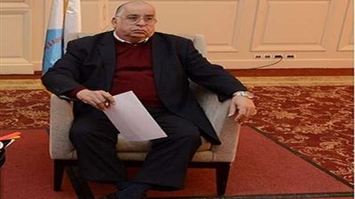 نائب رئيس الجامعة الصينية: نتعاون مع علماء مصر بالخارج لصالح الطلبة المصريين