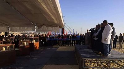 العناني يعلن عن أول كشف أثري في 2020 بالمنيا