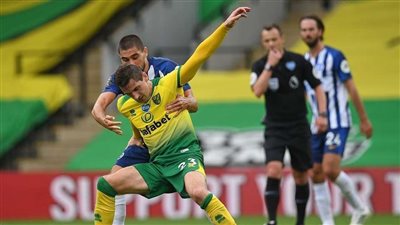 موعد مباراة برايتون ونوريتش سيتي في الدوري الإنجليزي الممتاز