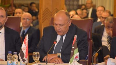 نص كلمة سامح شكري في اجتماع الجامعة العربية الطارئ بشأن فلسطين