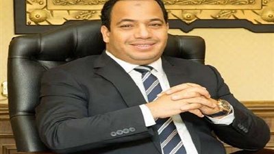 مدير مركز القاهرة للدراسات: الهدف من دعم الصادرات زيادة الحصيلة الدولارية العائدة لمصر