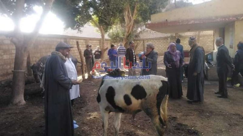 بلدنا اليوم