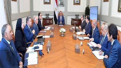 السيسي يوجّه بالتركيز على الآفاق المستقبلية لصناعة المركبات الكهربائية