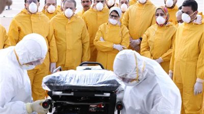 الوفد عن إجلاء المصريين من الصين: مصر حريصة على سلامة مواطنيها ضد كورونا