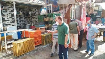 ضبط كمية كبيرة من اللحوم والدواجن مخزنة بقصد الحجب عن الأسواق بالإسكندرية