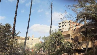 السيطرة على حريق أشجار أمام مباني سكنية بالمقطم