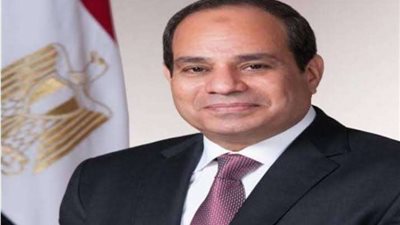 الوكالة الدولية للطاقة الذرية: نشيد بجهود الرئيس السيسي في البرنامج النووي