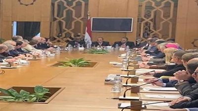 وزارة الخارجية تستضيف سفراء الدول الأوروبية المعتمدين بالقاهرة (صور)