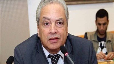 أستاذ علوم سياسية: يجب تحجيم المالي السياسي فى الانتخابات المقبلة