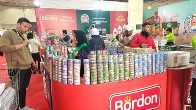 الإحصاء: 45 مليار جنيه حجم إنفاق الدولة على السلع التموينية خلال 8 أشهر