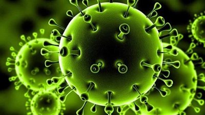 على طريقة جاك وروز.. فيروس كورونا يهدم حياة زوجين مسنين