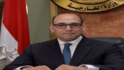 مصر تفوز بعضوية مجلس السلم والأمن الأفريقي للفترة من 2020 إلى 2022