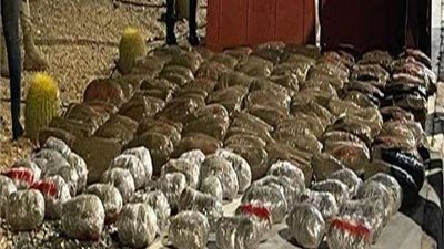 القبض على تاجر مخدرات بحيازة 160 طربة لمخدر الحشيش وبندقية