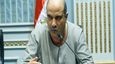 طلب إحاطة لوزير الري بسبب إهدار المال العام في تغطية الترع بالشرقية