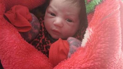 العثور على طفلة حديثة الولادة في مقابر عرب العليقات بالقليوبية