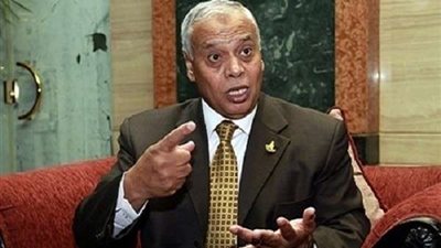 برلماني: فكرة إنشاء وزارة للشؤون الإفريقية جيدة لكن عيوبها ستسبب مشاكل