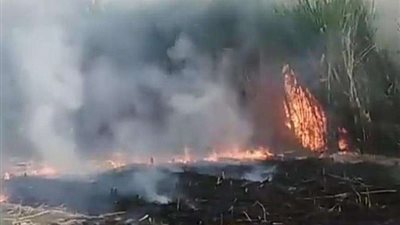 السيطرة على حريق هائل  بأرض زراعية بكفر الشكر