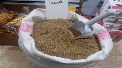 يانسون للكورونا.. اختراع مصري لعلاج الفيروس