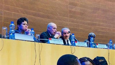 نميرة نجم تكشف أبرز موضوعات الجلسات المغلقة للقمة الإفريقية