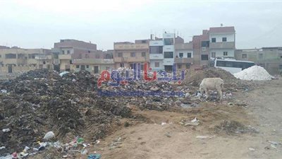 القمامة تحاصر قرية بالصف.. والأهالي يستغيثون 