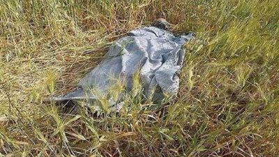 لغز العثور على جثة سائق تاكسى بطريق الإسكندرية الصحراوى