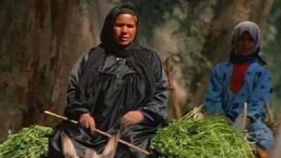 ملتقى الحوار لحقوق الإنسان: 95% من نساء سوهاج وقنا لا يَرثن