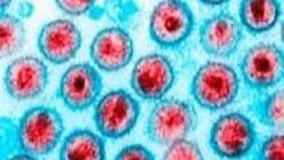 فيروس يارا.. نوع جديد يلاحق كورونا في عالم الأوبئة