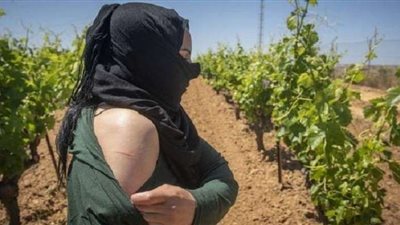 بجهود سعودية.. إنقاذ 21 فتاة كازاخية من الاستعباد الجنسي بالبحرين