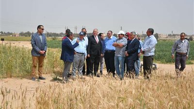 وزير الزراعة  يحث الفلاحين علي توريد القمح بالقليوبية
