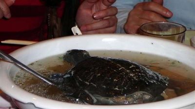 بشرط واحد.. كيف تتخلص من 