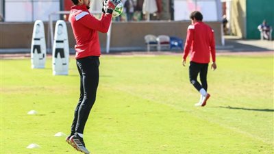 علي لطفي يكتفي بجلسة في 