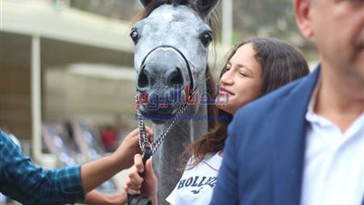 الزراعة تنفي نفوق أعداد كبيرة من الخيول العربية بمحطة الزهراء