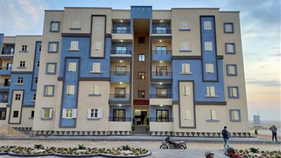 مساعد نائب رئيس 