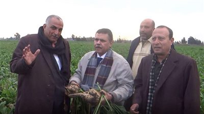 التموين: نستهدف توريد 2.1 مليون طن بنجر خلال الموسم الجاري