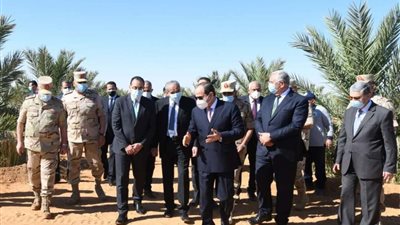 السيسي يعيد الحياة لتوشكى.. آخر مستجدات أكبر مشروع استصلاح زراعى في الشرق الأوسط | صور