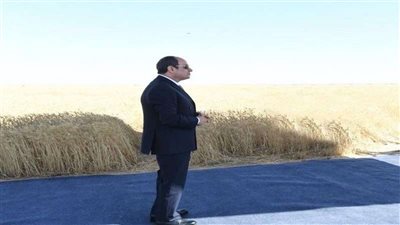 الرئيس السيسي يبعث ببرقية تهنئة إلى البابا تواضروس الثاني بمناسبة عيد القيامة المجيد