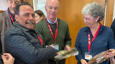 المراغي: المشروعات المصرية العملاقة وفرت المزيد من فرص العمل