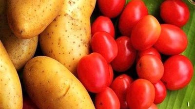 الطماطم والبطاطس.. أطعمة يومية تُسبب الموت ولا يجوز أكلها