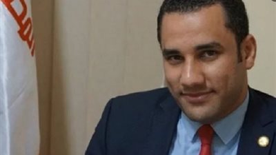 النائب أحمد علي: مصر ماضية في حماية حقوق الإنسان دون إملاءات خارجية