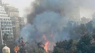 الدفع بـ3 سيارات إطفاء لإخماد حريق نشب داخل حديقة الأورمان بالجيزة