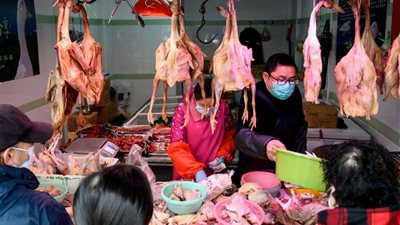 حملة اختبارات للكشف عن كورونا في بكين وتهافت على الشراء للمنتجات الغذائية