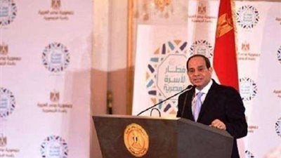 الرئيس السيسي يكلف الحكومة بدعم مزارعي القمح في مصر من خلال محفزات مادية