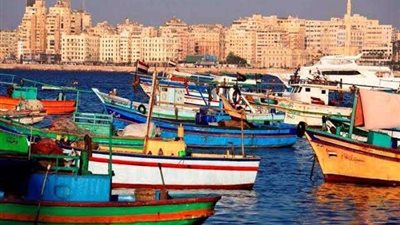 رئيس شرق بورسعيد: 95% نسبة تنفيذ محطة تحلية مياه البحر بـ