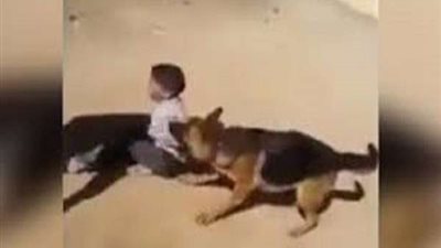 معركة الـ20 ثانية.. مشهد مروع لكلب شرس يهاجم طفلة وينهش جسدها