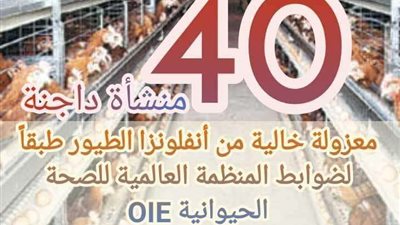 ننشر أهم الأرقام حول صناعة الدواجن في مصر