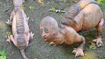 تعرف على أغرب المخلوقات الدينية التى وردت في الكتب السماوية الثلاثة